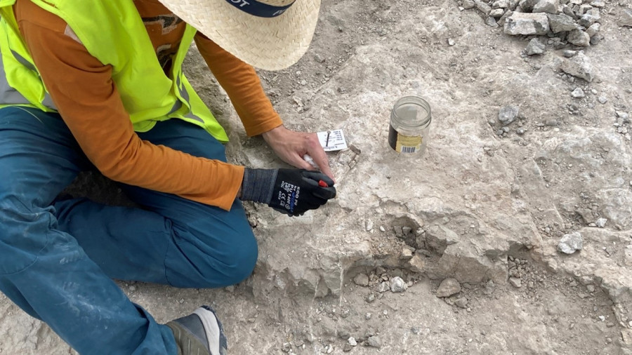 Hallan restos de elefantes primitivos de hace 14 millones de años en Madrid