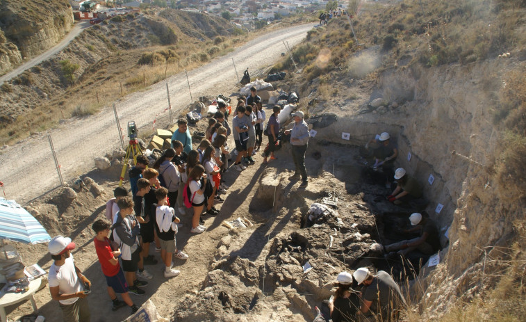 Hallan en Baza (Granada) restos del último cocodrilo que vivió en Europa