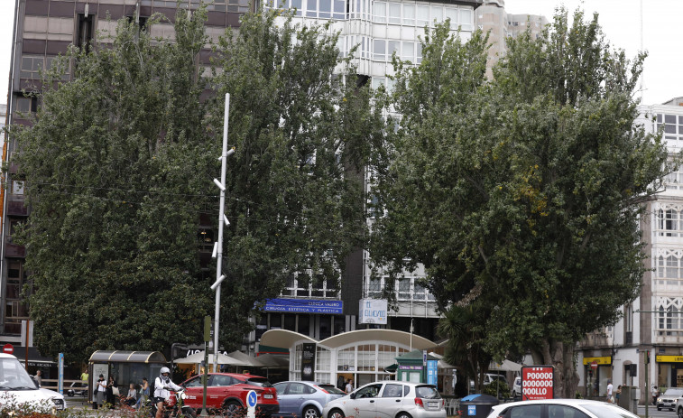 El mal estado de los álamos de la plaza de Ourense obliga a  podas para reducir  el peligro de caídas