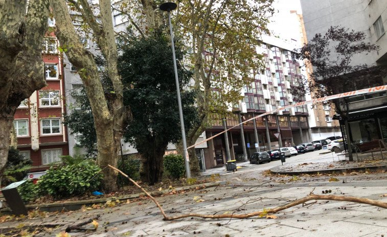 Árboles y ventanas caídas en A Coruña por el temporal 'Aline'