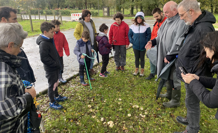 Casi 30 personas desafían el temporal en Teixeiro y salen al monte en el día de la exaltación de las setas
