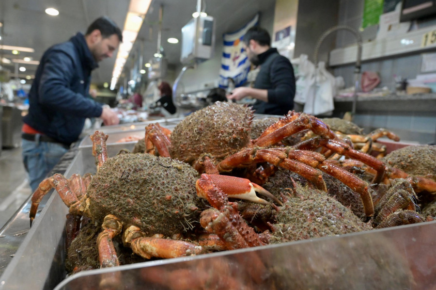 Los mercados coruñeses presumen de las primeras centollas de la temporada: “Son grandochas”