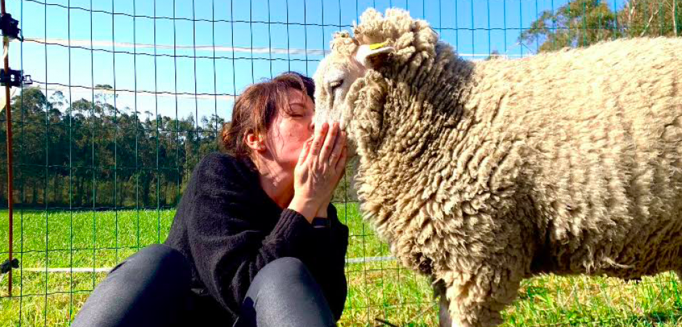 Subasta solidaria en favor de Acougo, el refugio para animales de granja maltratados o abandonados