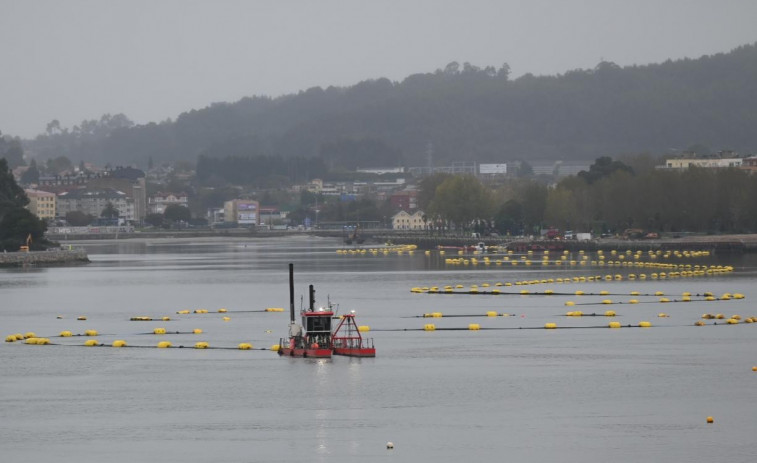 La Xunta advierte de que no se podrá volver a mariscar en la ría hasta 2025