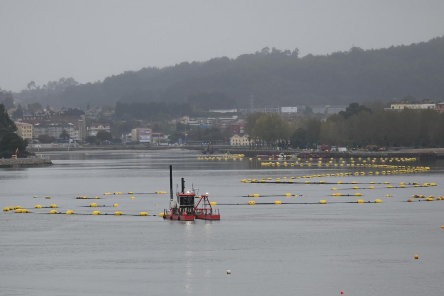 La Xunta advierte de que no se podrá volver a mariscar en la ría hasta 2025