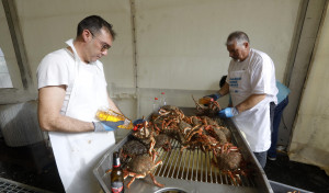 Festa Gastronómica da Centola en Lorbé