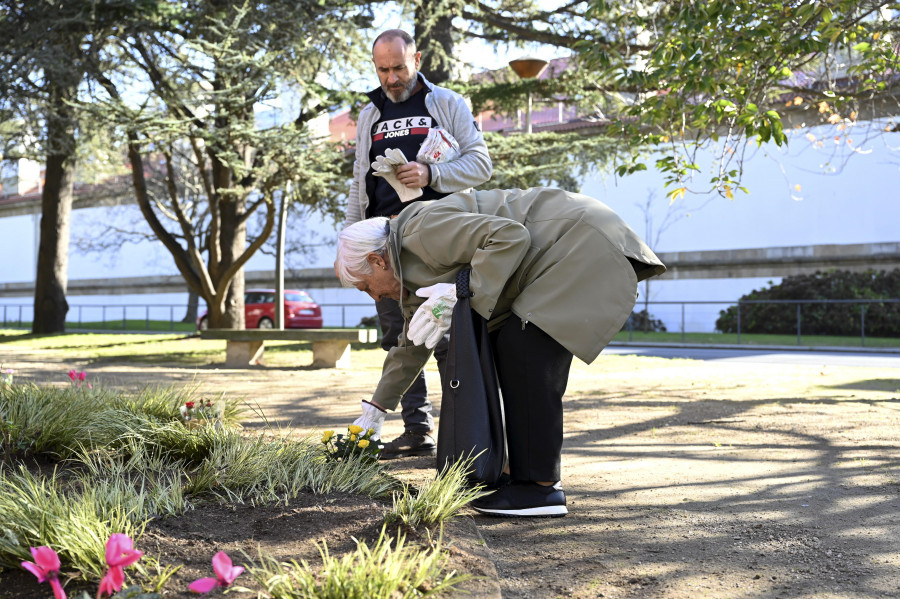 Rosas por mujeres asesinadas