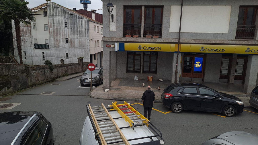 Denuncian a un individuo por dar de comer a gatos callejeros en Betanzos
