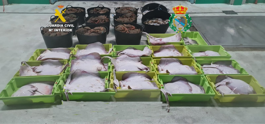Incautados 422 kilos de pescado y marisco en A Coruña