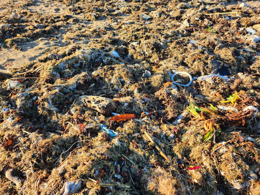 "En la playa canina de Bens se encuentra de todo excepto perros"