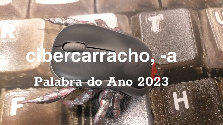 "Cibercarracho" é a Palabra do Ano en Galicia