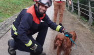 Rescatado en Cambre un perro que se había caído a la ría de O Burgo