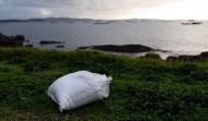 Ecologistas alertan de las consecuencias terribles por la llegada de plásticos a la costa gallega
