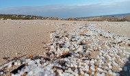 La Xunta activa el plan anticontaminación por la aparición de pellets en las playas gallegas