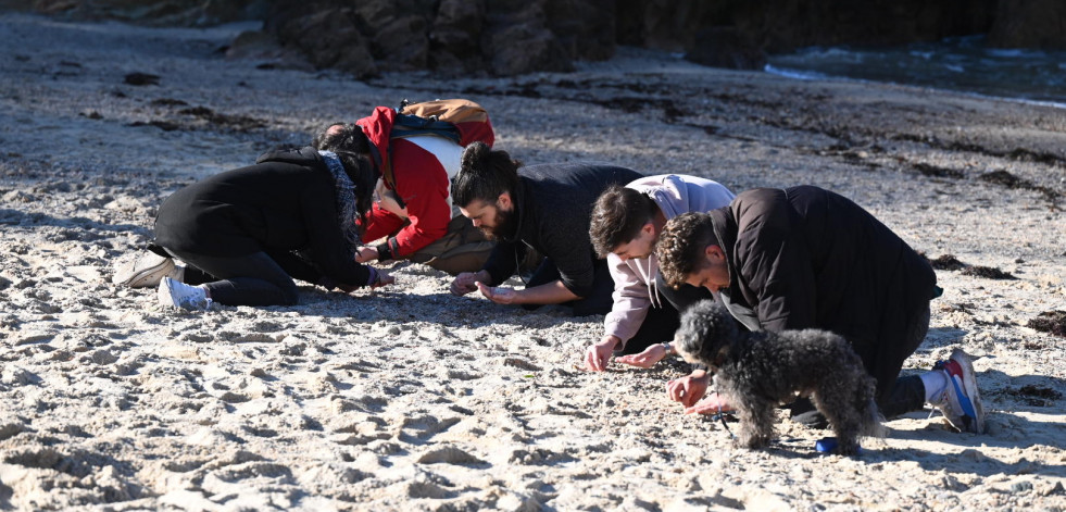 Numerosos voluntarios acuden a limpiar las playas