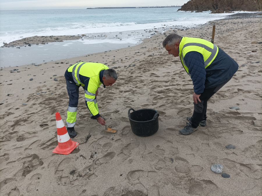 Arteixo activa un dispositivo para limpiar los pellets de plástico de sus playas