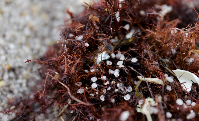 Galicia rebajará al nivel 1 la alerta por la llegada de pellets a las playas