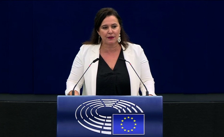 El BNG propone a Europa adoptar medidas para paliar la contaminación por los pellets