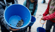 Rueda pide al Ministerio que busque los sacos de pellets en el mar