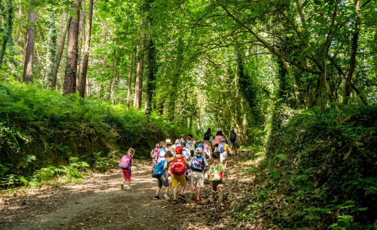 Oleiros contrata programas de educación medioambiental y de ocio para niños