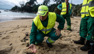 La UDC convoca a voluntarios para limpiar pellets de la playa de As Lapas