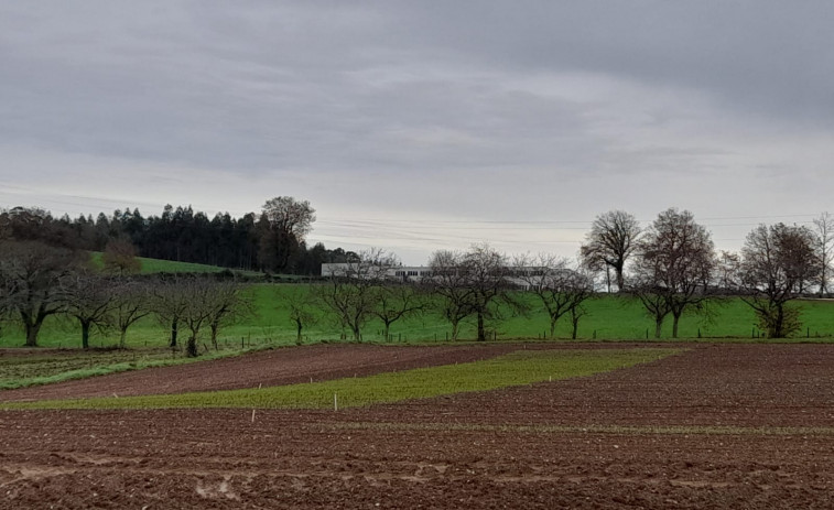 El Banco de Xermoplasma resalta ya en el ‘skyline’ rural de Mabegondo