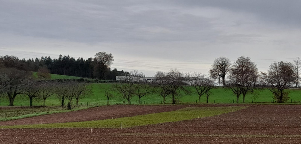 El Banco de Xermoplasma resalta ya en el ‘skyline’ rural de Mabegondo