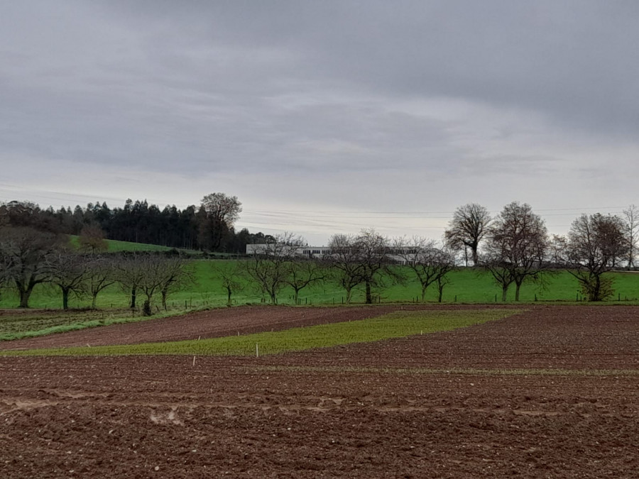 El Banco de Xermoplasma resalta ya en el ‘skyline’ rural de Mabegondo