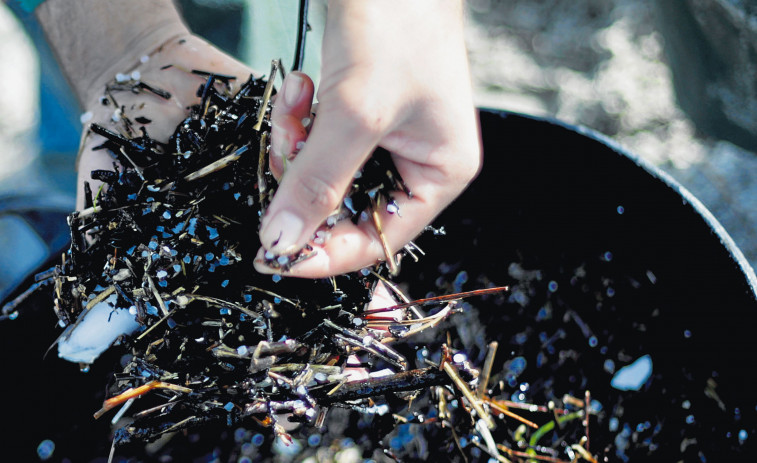 La cantidad de plásticos recogida en las playas duplica a la de pellets