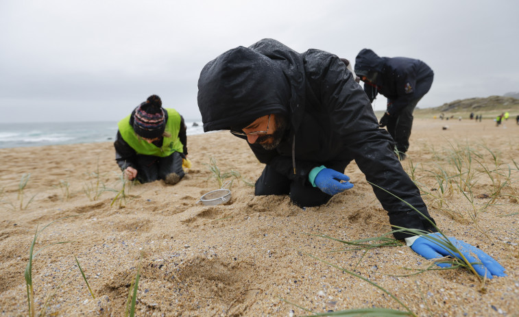 Un comité de expertos evaluará el impacto de los plásticos a medio y largo plazo en las costas gallegas