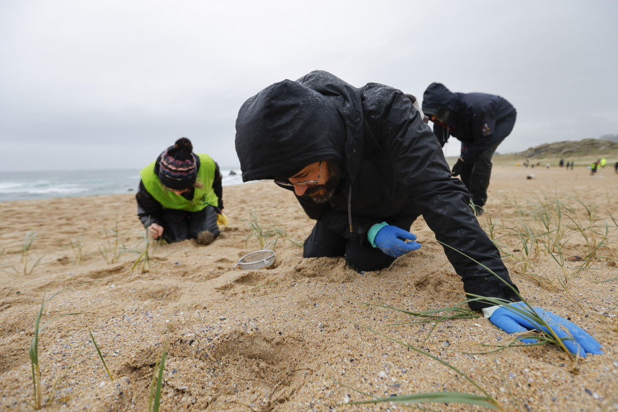 Un comité de expertos evaluará el impacto de los plásticos a medio y largo plazo en las costas gallegas