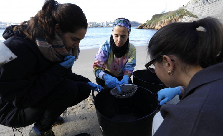 La Universidad de A Coruña reúne a más de 20 voluntarios para limpiar Matadero