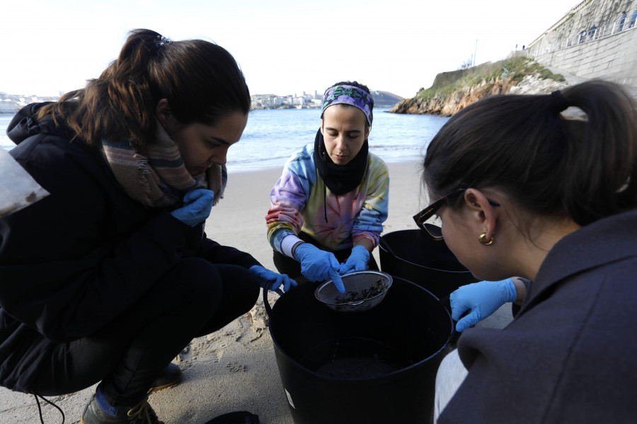 La Universidad de A Coruña reúne a más de 20 voluntarios para limpiar Matadero