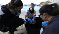 La Universidad de A Coruña reúne a más de 20 voluntarios para limpiar Matadero