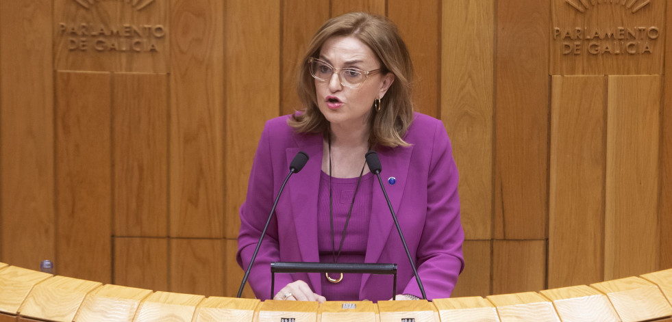 La exconselleira de Empleo Elena Rivo abandona su acta de diputada
