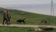 La población canina de A Coruña crece de forma continua y llega al récord de 31.906 ejemplares