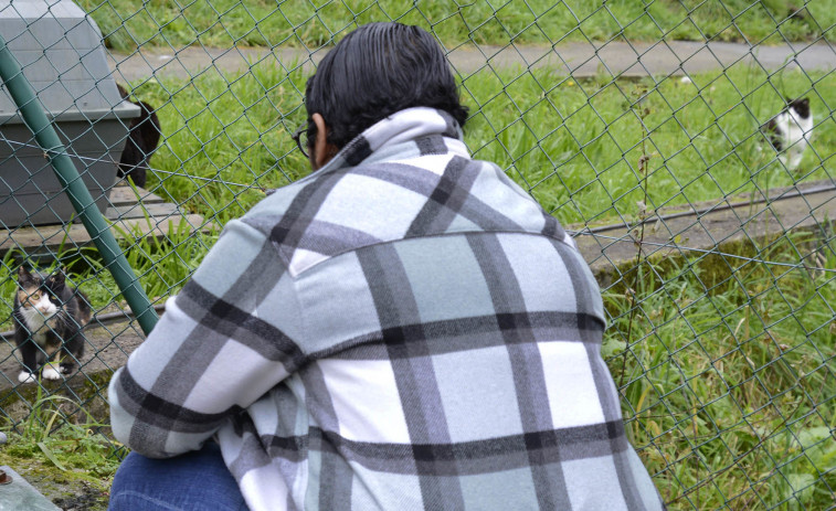 La Fundación María José Jove llevará a personas con enfermedad mental a que cuiden perros