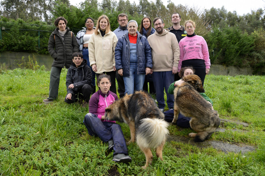 AyudanDOG, la nueva iniciativa de la Fundación María José Jove con APEM, Gatocán y Candamín