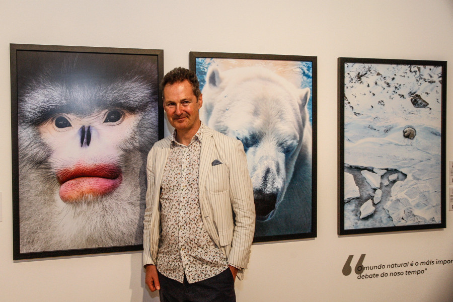 La muestra de Tim Flach en Afundación amplía su estancia
