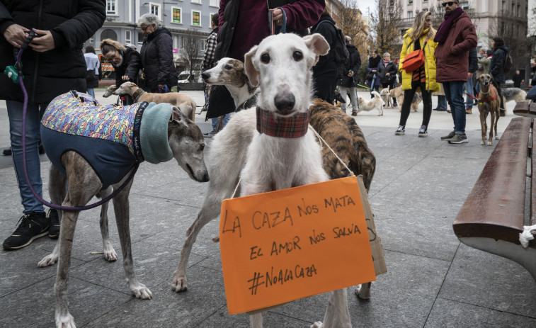 Nace la Federación de Protección de Perros utilizados para la Caza, actividades específicas y profesionales