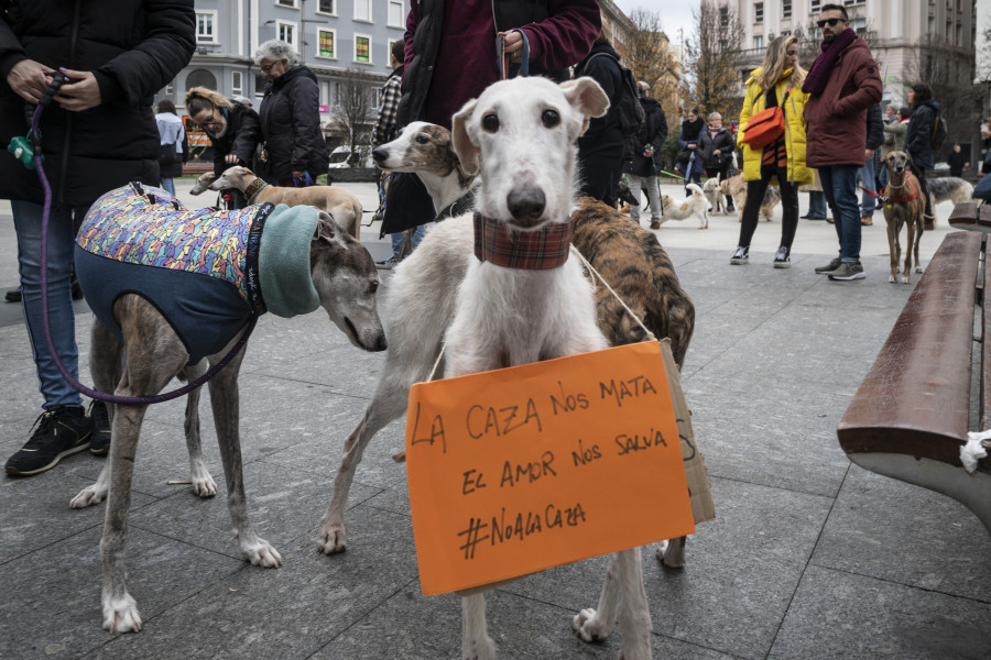 Nace la Federación de Protección de Perros utilizados para la Caza, actividades específicas y profesionales