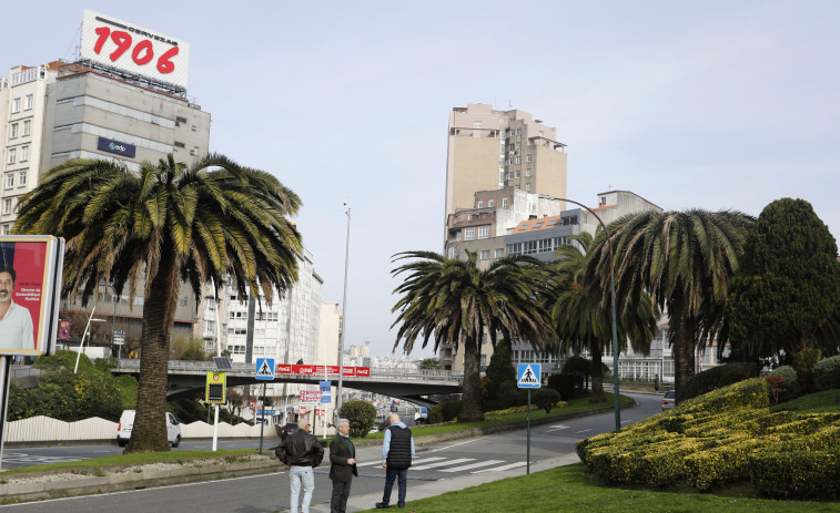 El picudo rojo se extiende también por las palmeras que adornan Alfonso Molina