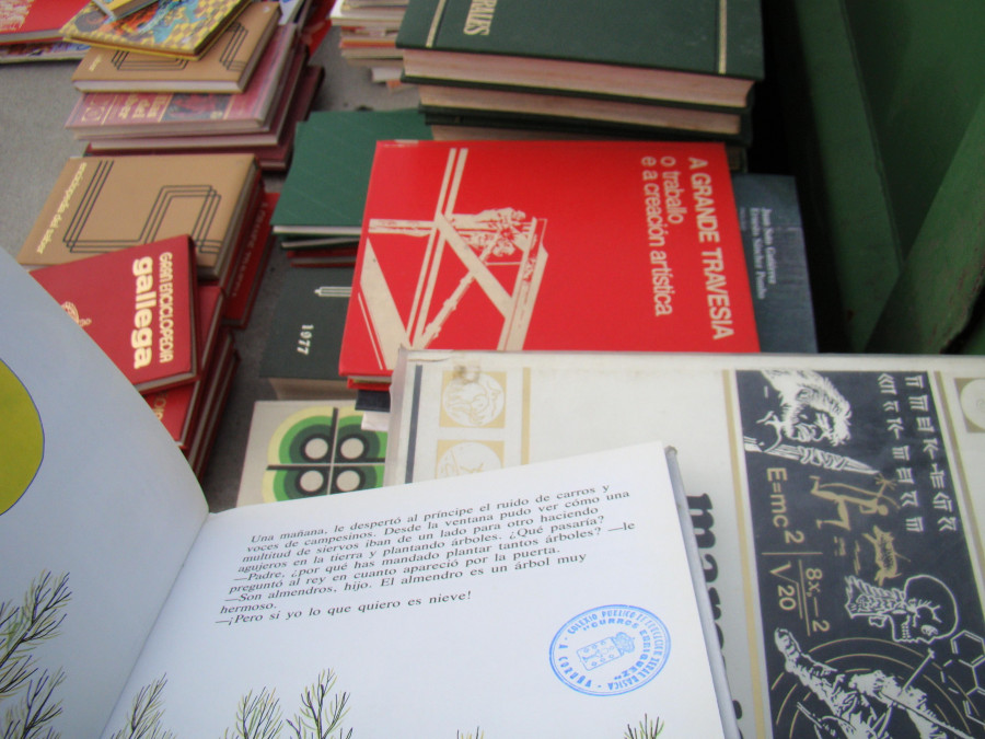 Reportaje | Lectores en construcción y cómo cultivar el amor por los libros