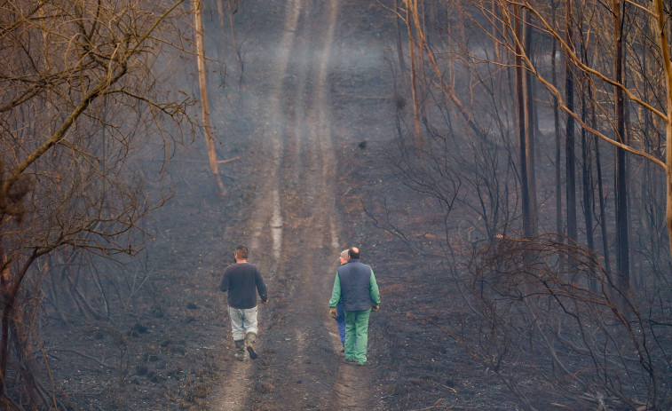 Estabilizado el incendio forestal de Trabada en Lugo, que afecta a 190 hectáreas