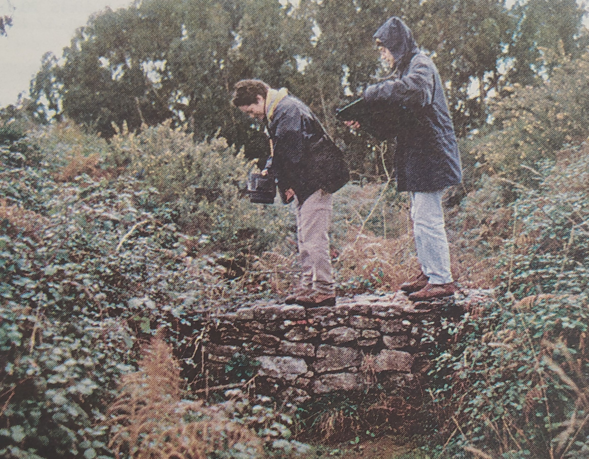 Castro de elviu00f1a 1999