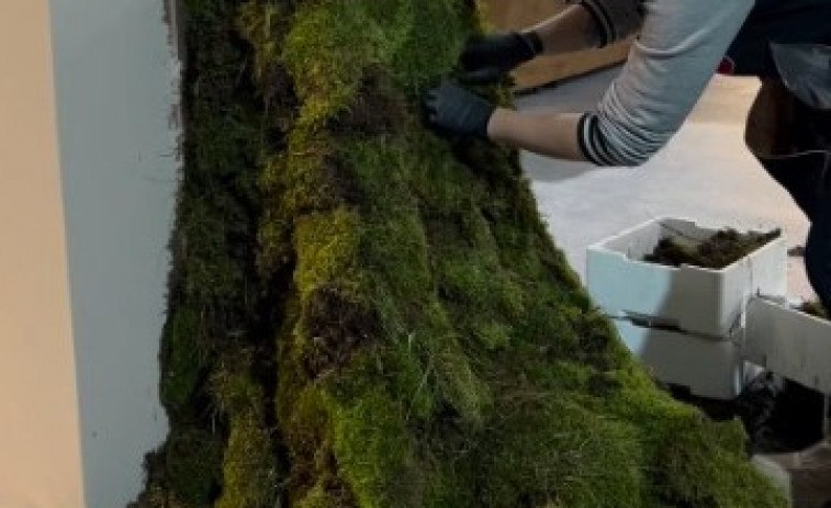 Los premios Goya se inundan de flores coruñesas