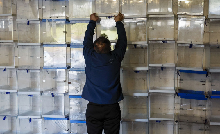 El escrutinio de votos de la emigración empezará el 26 de febrero