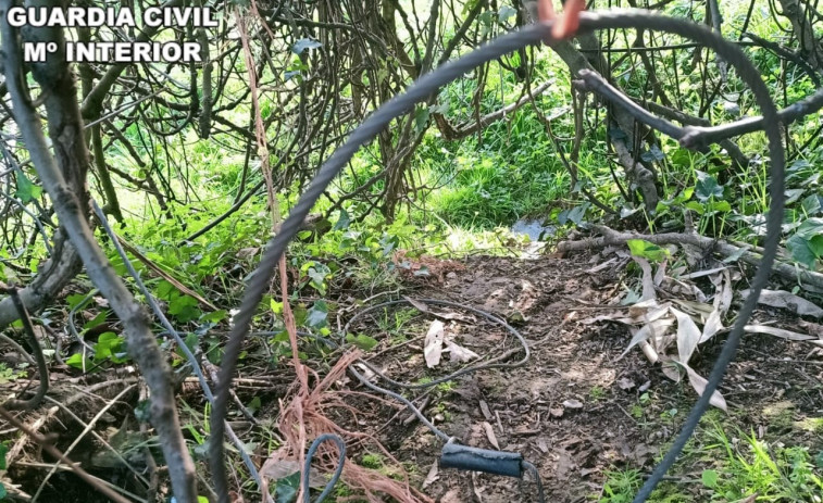 La Guardia Civil investiga a un vecino de Cambre por intentar cazar jabalíes con lazos de acero