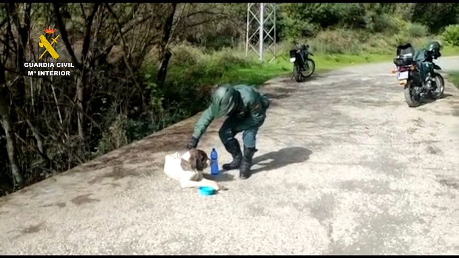 Investigan a 34 personas por tener en estado "deplorable" a un centenar de animales