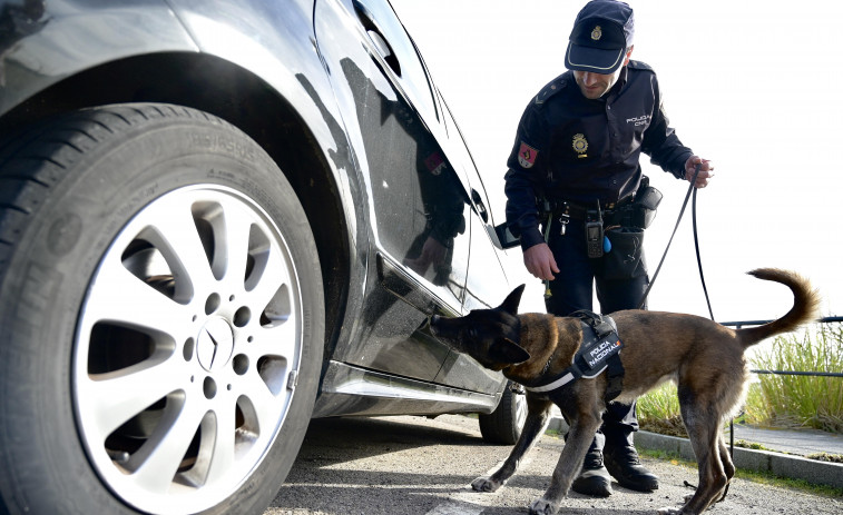 Los perros policía de A Coruña: compañeros hasta en el retiro